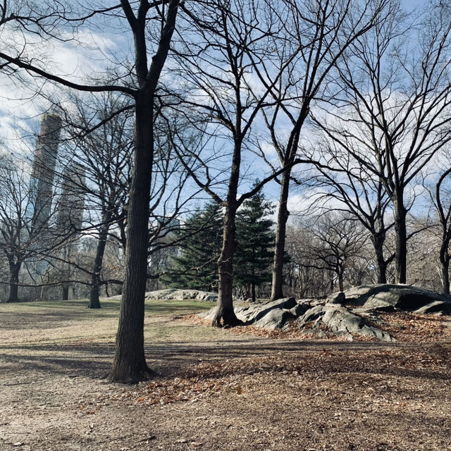 Delacorte Clock: A Charming Central Park Gem