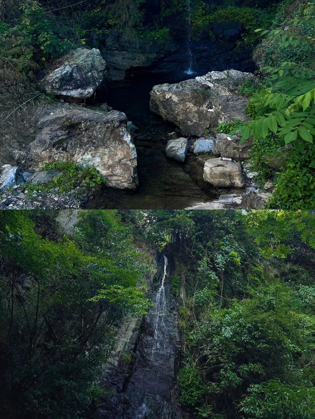 玩水季 無濾鏡浮憩谷值不值得去||作為魔都避暑的後花園