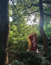 上海西郊賓館 有自己的後（動）花（物）園