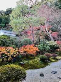 日本·京都嵐山二尊院