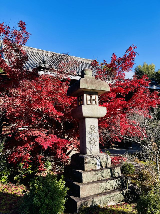 日本·京都清涼寺