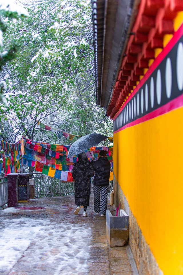 雪落月光之城，漫步在香格里拉獨克宗古城