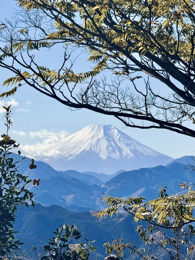 體驗四季風景：高尾山的悠然兩日