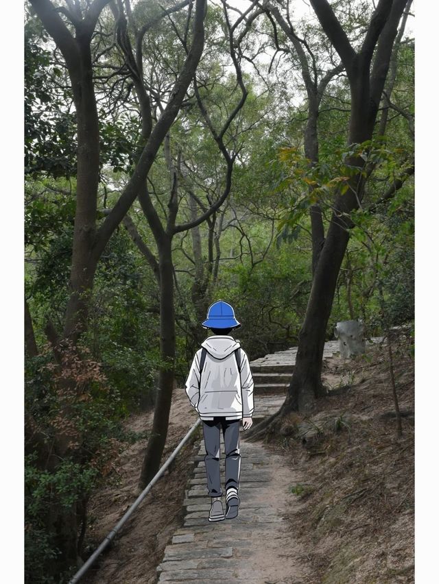 今年廈門行山最多次的戶外路線！明年還來～