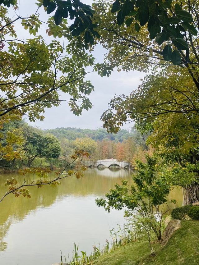 廣州雲蘿植物園