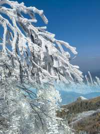 雪後鸬鳥山：杭州近郊的冰雪童話世界