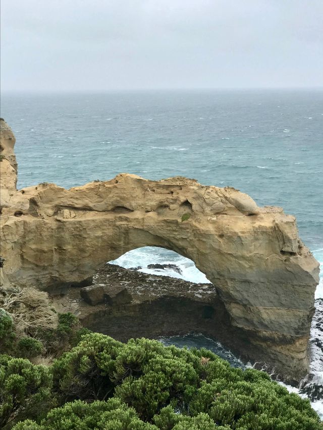 澳洲8日親子遊 超詳細攻略來襲