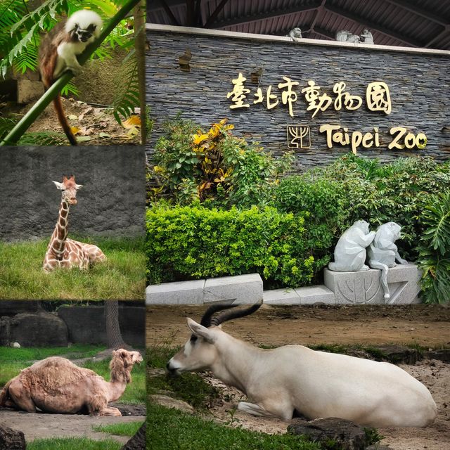 臺北市動物園｜多元化的園區｜