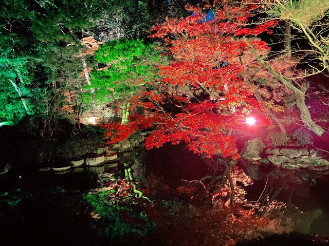 京都秋日浪漫之旅：平安神宮楓葉賞