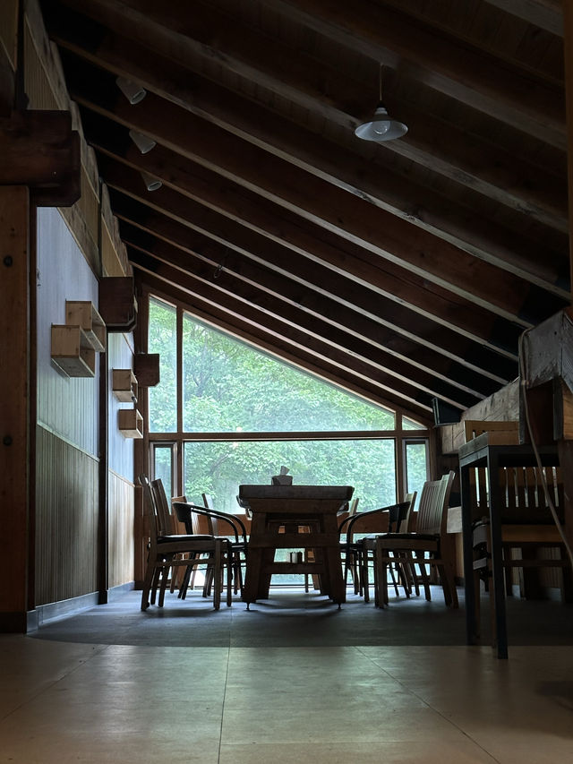 첩첩산중 🏞️ 아름다운 백두대간 풍경을 볼 수 있는 산 속 전망대 휴게소 💚