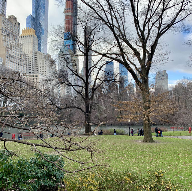 Top 3 Green Areas for a Picnic in Central Park