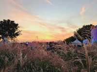 A breathtaking sunset view from Hanuel Park at Seoul