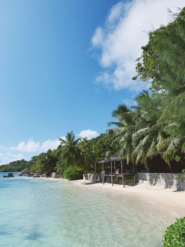 Exploring the Southern Charm of Praslin, Seychelles 🌴 A Perfect Day Itinerary