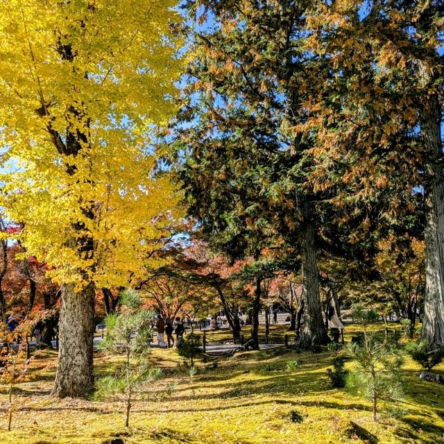 【京都紅葉】見頃を迎えた京都の紅葉 南禅寺