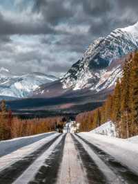 Driving into Jasper National Park