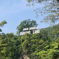 A Serene Escape at Gunung Lang Recreational Park