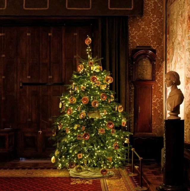 A Festive Wonderland: Christmas at Tyntesfield