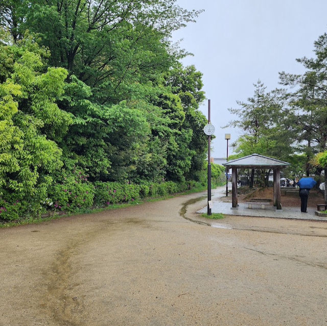 高台寺公園