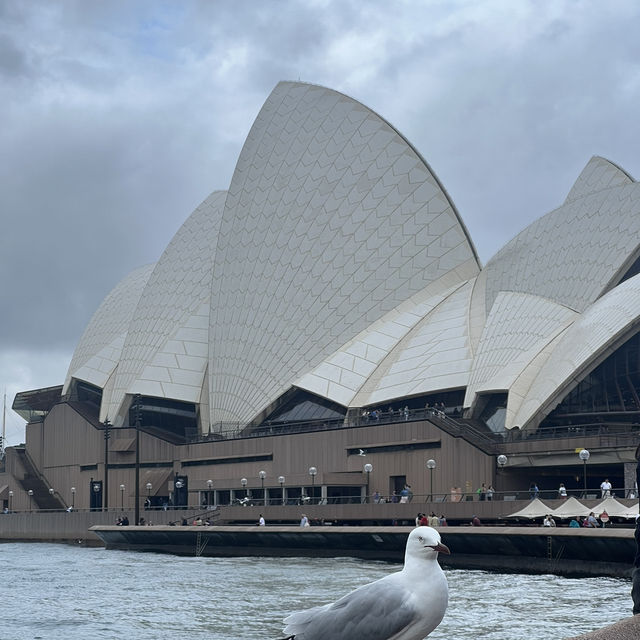 🌏 Exploring the Heart of Sydney 🏙️