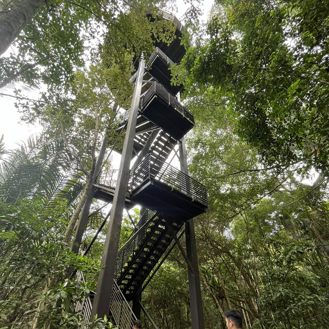 Wholesome fun at Pulau Ubin 