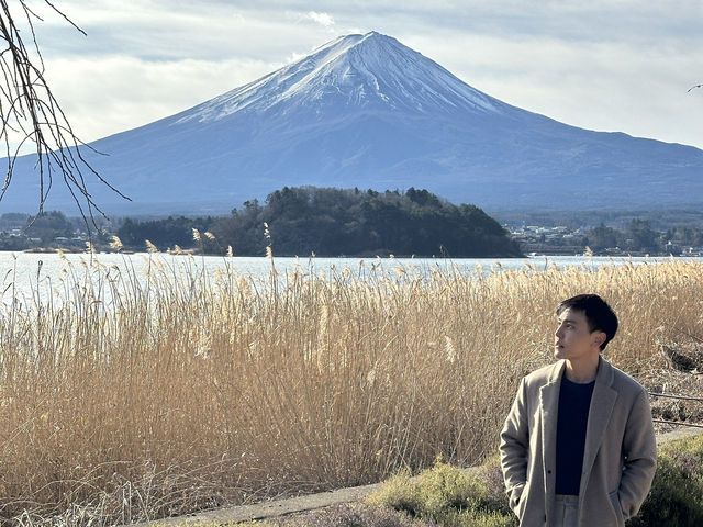 You can see Mt Fuji in December everyday till you get bored 👀