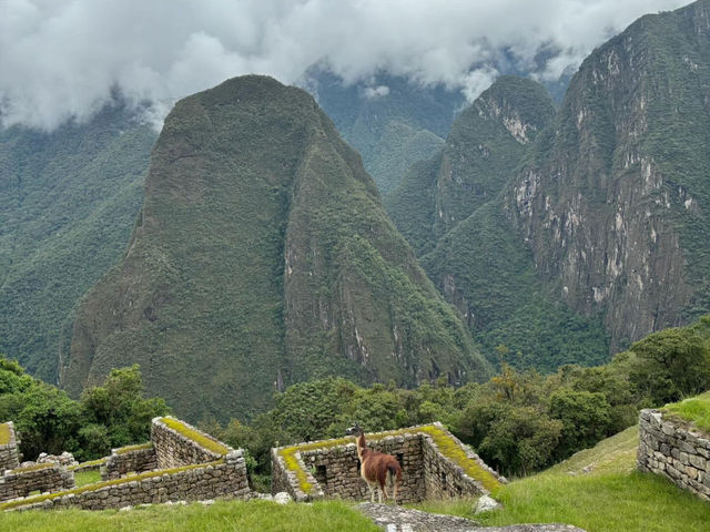 The world’s wonder of Machu Picchu 