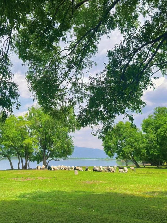 小眾露營攻略——雲南劍川縣劍湖