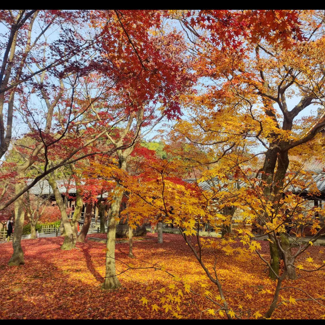 Fall colors in the temples of Japan