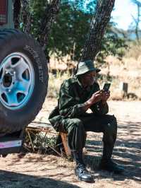 Exploring Serengeti National Park: A Wildlife Wonderland