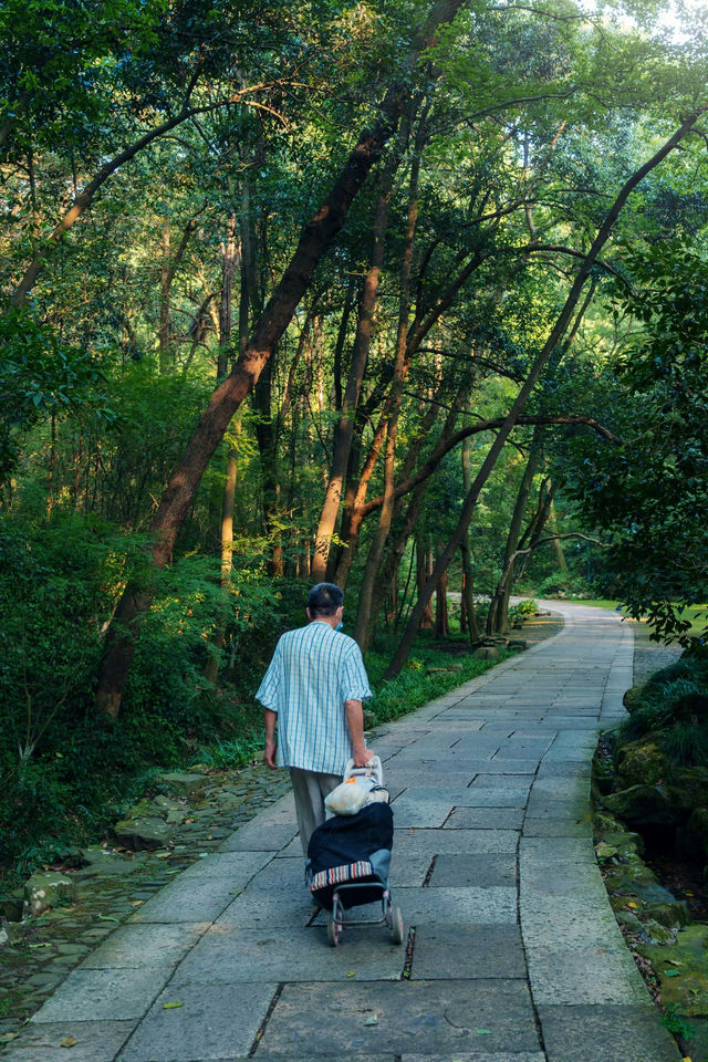 虎跑公園 | 杭州獨有的中式美學。