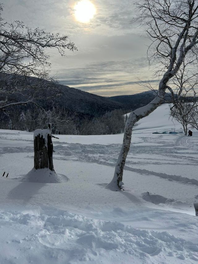 探秘雪谷，在寒冷的冬季，看到了冬日裡純淨世界