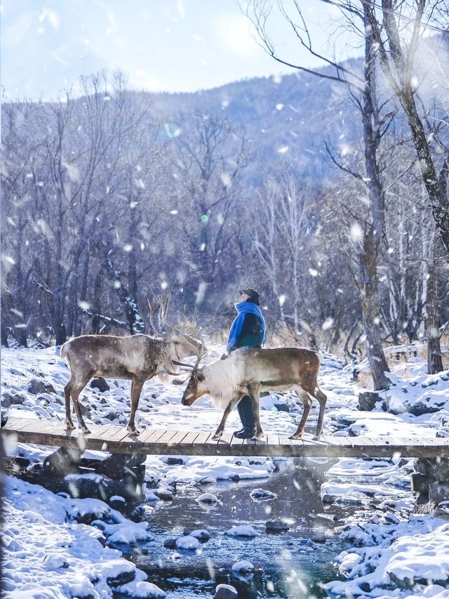 先出發再說｜比東北人少！｜比新疆便宜的看雪地