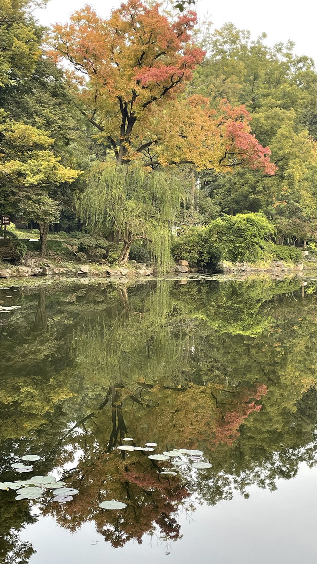 南京第4站 鐘山風景區4 靈谷景區