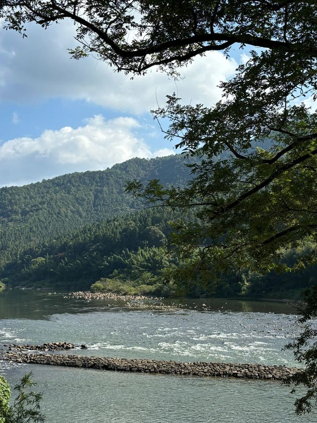 跨年要去武夷山3日遊玩法大揭秘