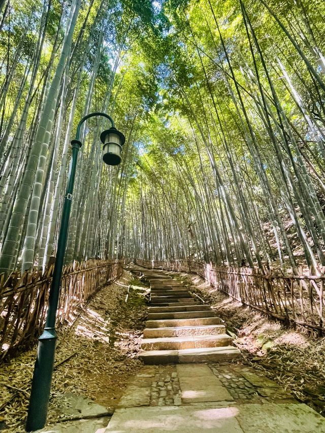 跨年要去成都-九寨溝旅遊 美景震撼人心