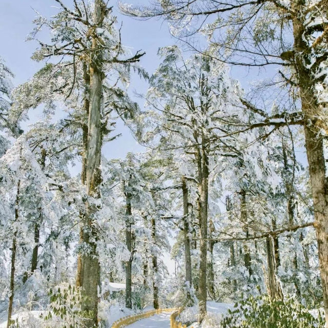 🏔 🥶 🏔 Winter Snow in Sichuan 🏔🥶🏔