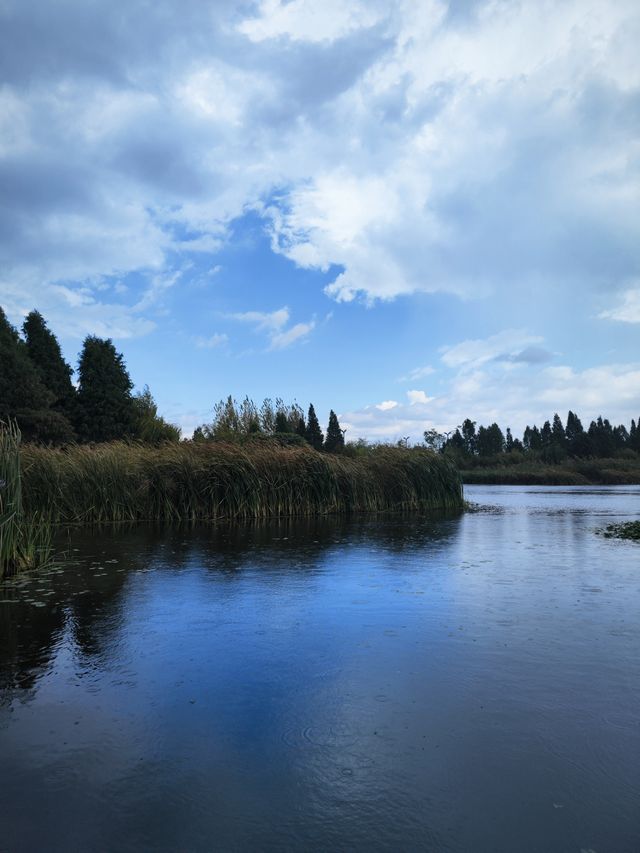 昆明市官渡區寶豐濕地公園，風光無限好