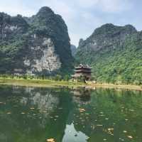 SKULL ISLAND MOVIE SET 🦍🇻🇳