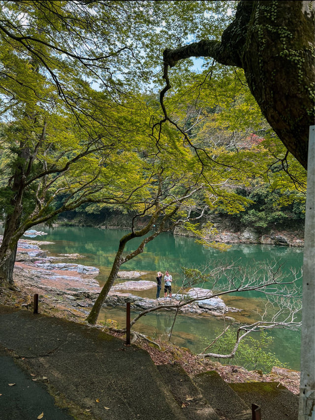 Guide to Arashiyama: A Day Trip from Kyoto, Japan 🇯🇵