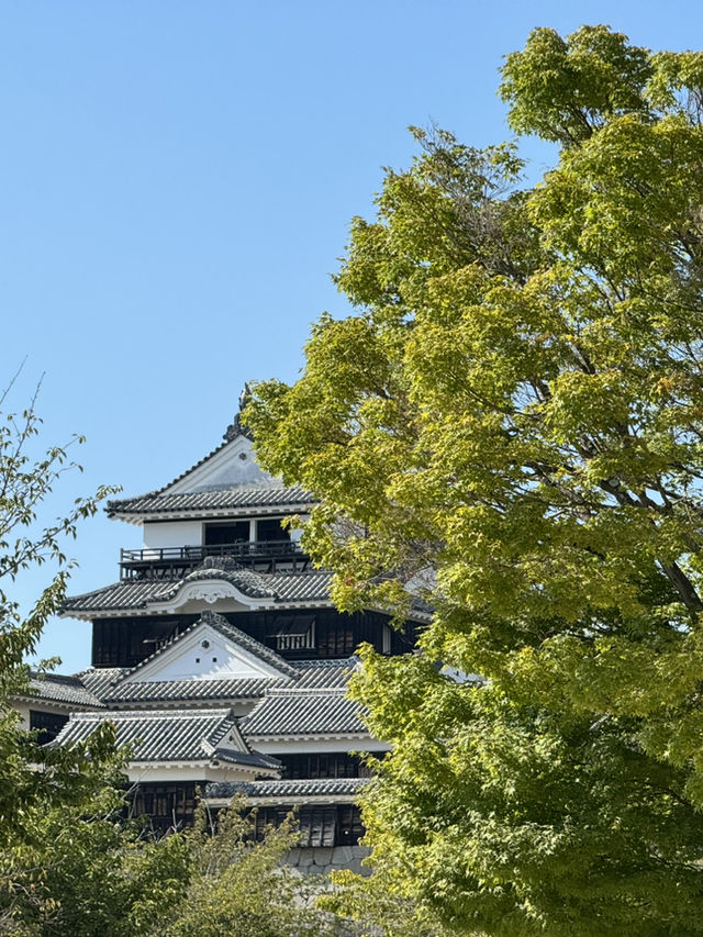 【愛媛・松山】やっぱり迫力がすごい！歴史と絶景を体感できる松山城