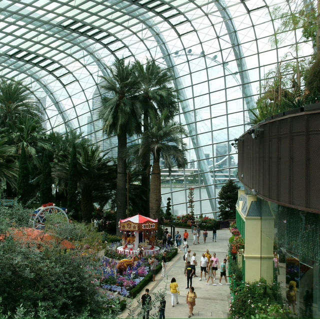 Gardens by the bay 🌹🌳