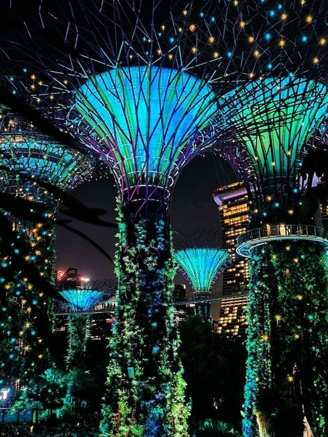 🎄 Christmas Wonderland in Singapore: A Festive Delight! 🎅