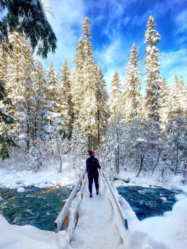 Winter Exploration in Oregon: A Winter Wonderland