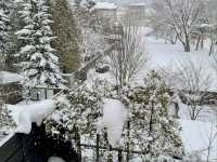 A Serene Retreat at Shikotsu Lake Tsuruga Resort Spa Mizunouta