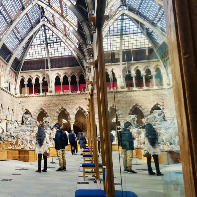 Unearth Wonders at the Oxford University Natural History Museum