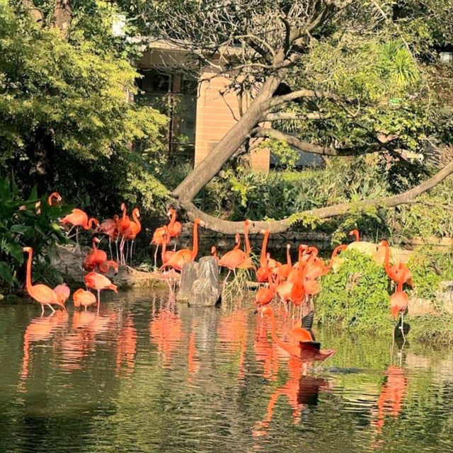 Guangzhou Zoo