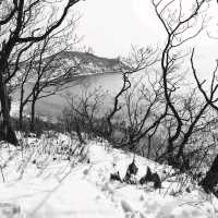 Winter Landscapes by the Sea in Nakhodka  