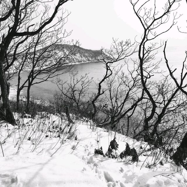 Winter Landscapes by the Sea in Nakhodka  