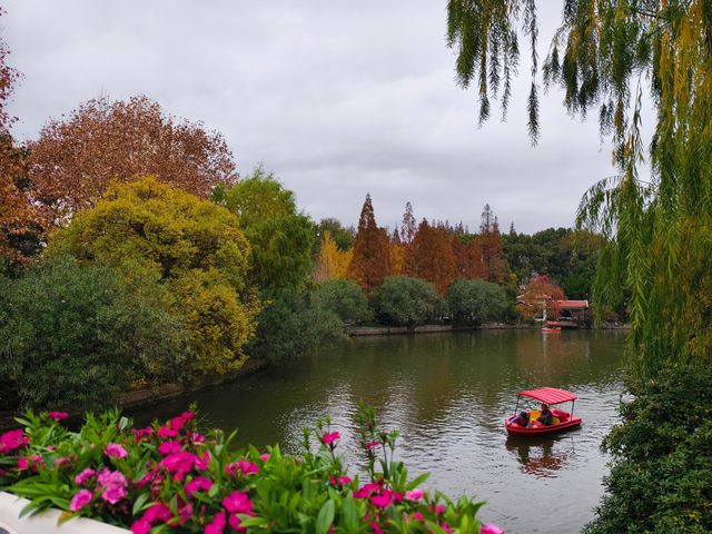 初冬的長風公園—五彩斑斕