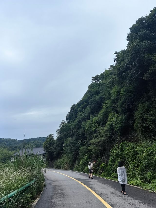 ye太美了叭︱超原生態溯溪玩水好去處